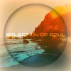 Selection Of Soul vol 104 (Summer 2017 House Tech-House)