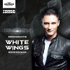 White Wings Sessions 104