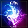 Lotus (Original mix)