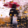 Tears of autumn
