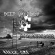 Dj AlexisnBass - Vibro 031 Deep house (Set)