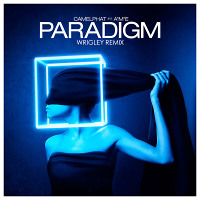 CamelPhat feat. AME - Paradigm (Wrigley Remix)