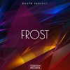 Frost (Extended Mix)