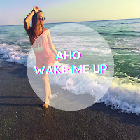 AHO - Wake me up (original mix)