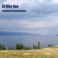 Purifying Contemplation