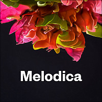 Melodica 15 June 2026