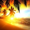 Paradise 2020