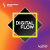 Digital Flow 03
