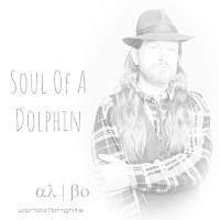 Soul Of A Dolphin (Breaking The Moonlight)