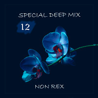 Special Deep Mix - 012