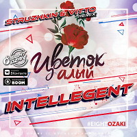 INtellegent - Цветок алый (Struzhkin & Vitto Remix)(Radio Edit)