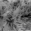 January live Mix