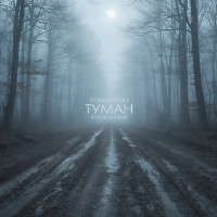 Роман Сон - Туман (Bordack Radio Edit)