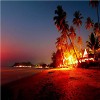 Summer night  2020