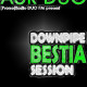 Aur Duo - Downpipe Bestia Session (2009)