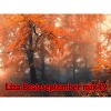 September mix'19