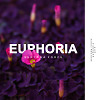 Euphoria (Original Mix)