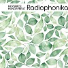 Heyspace & HungryBeat - Radiophonika #171