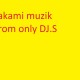 DJ -Takami(elektro pop)