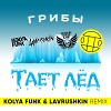 Грибы - Тает Лед (Kolya Funk & Lavrushkin Remix)