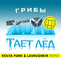 Грибы - Тает Лед (Kolya Funk & Lavrushkin Remix)