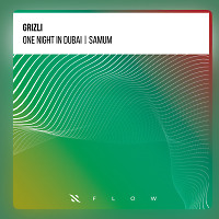 Grizli - One night in Dubai (radio edit)