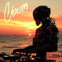 Anton Karpoff presents LOOM - 206 (Summer Vibe 2024)