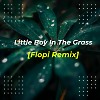 Little Boy In The Grass