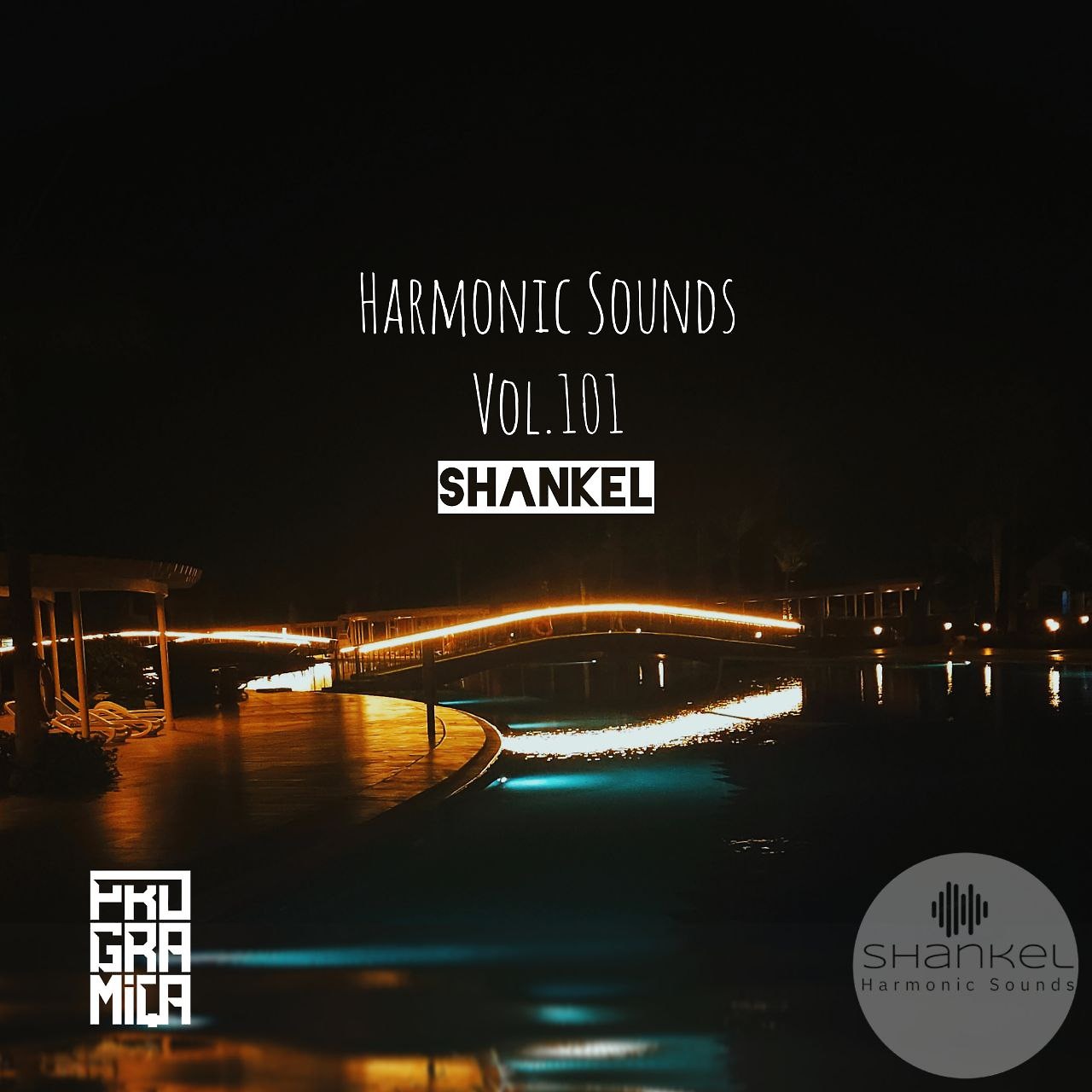 DJ.ru Микс: Shankel — Harmonic Sounds. Vol.101 episode artwork