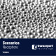 Sensorica - Neosphere (original mix)