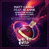 Matt Caseli feat. Si Anne - When The World Is Running Down (Mart Radio Edit)