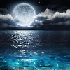 Harmony