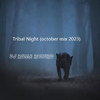 Tribal Night (october mix 2023)