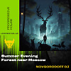 Summer Evening forest near Moscow live mix