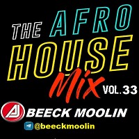 AFRO HOUSE DJ MIX 2025 #33