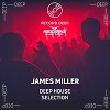 Deep House Selection #300 (Record Deep)