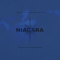 Niagara - Pendant que les champs brûlent (Denis Bravo x Bordack Radio Edit)