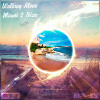 Swedish House Mafia feat. Tinie Tempah vs. Dirty South & Those Usual Suspects feat. Erik Hecht - Walking Alone Miami 2 Ibiza (BeTT-S5 Mash Up)