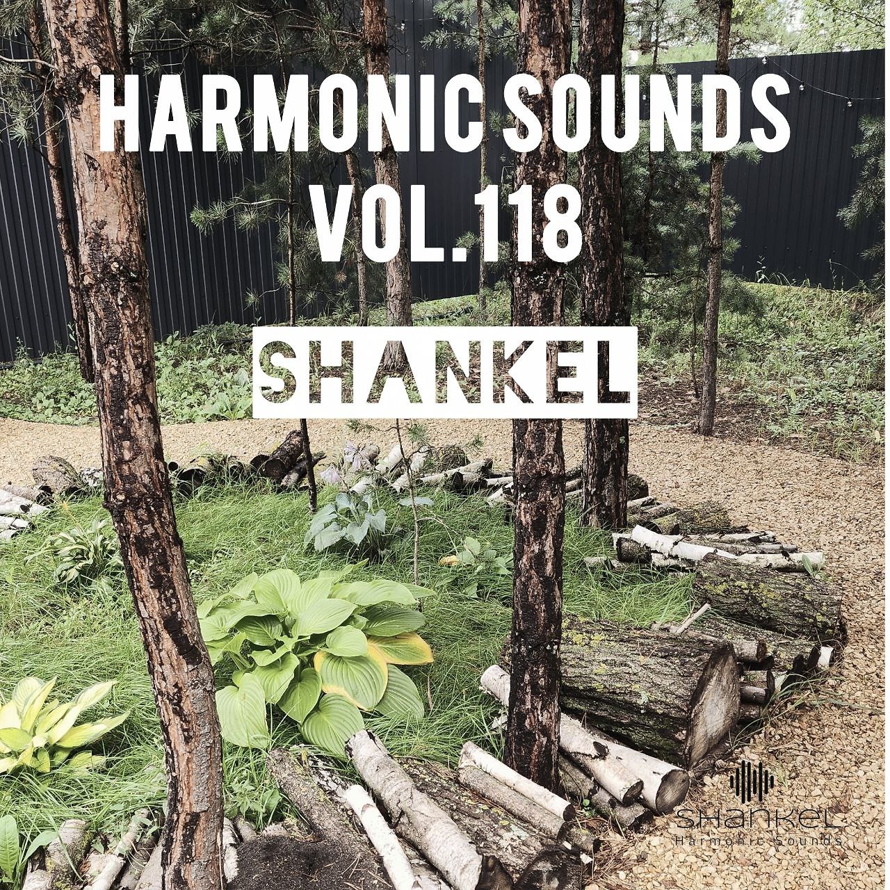 DJ.ru Микс: Shankel — Harmonic Sounds. Vol.118 episode artwork
