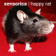 Sensorica - Happy Rat