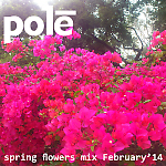 po1e - spring flowers [mixtape february 2014]