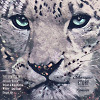 Sharapov - Story (Alwa Game Remix)