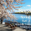 Saga Rest Spring Set 3