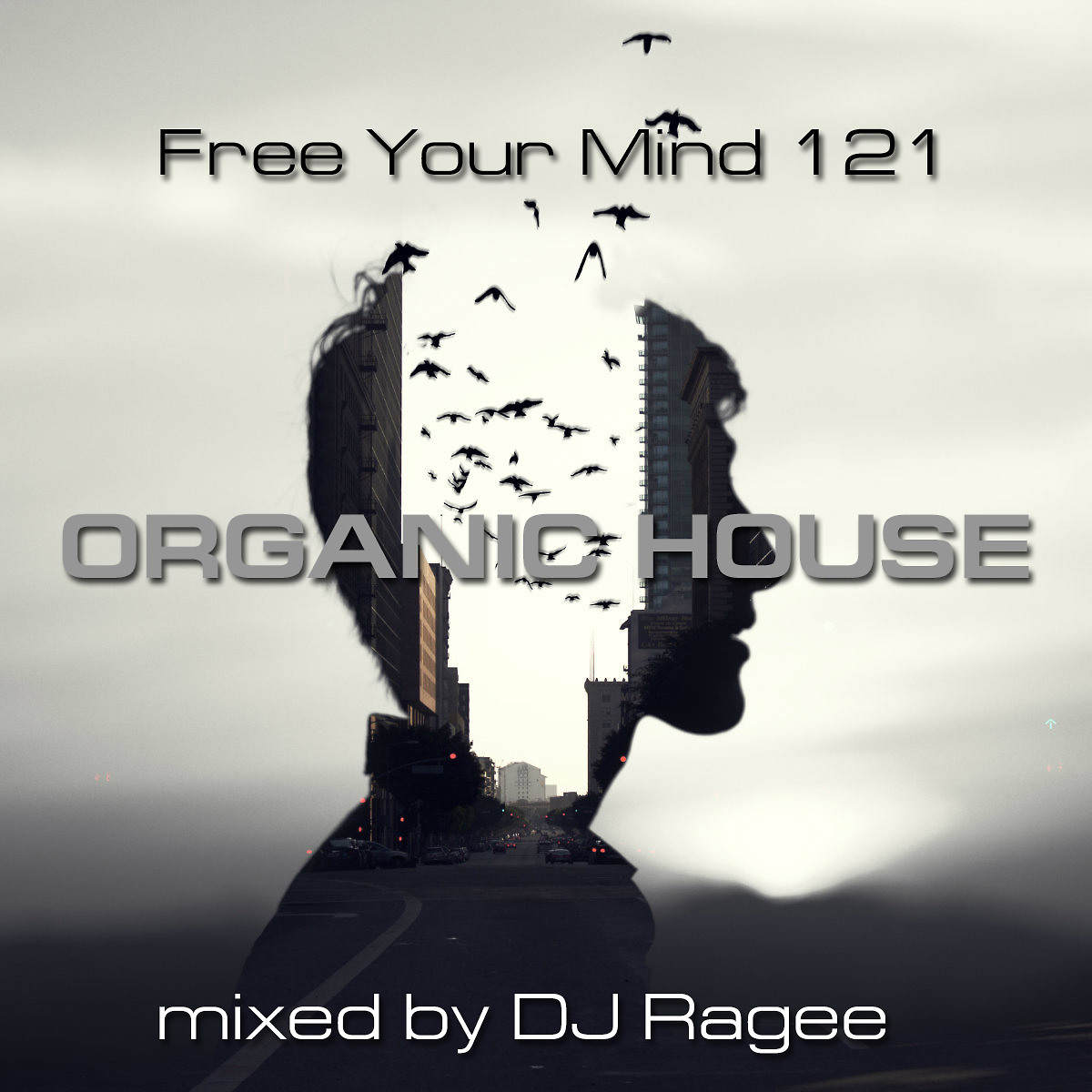 DJ.ru Подкаст: djragee — Free Your Mind 121 (Organic House) episode artwork