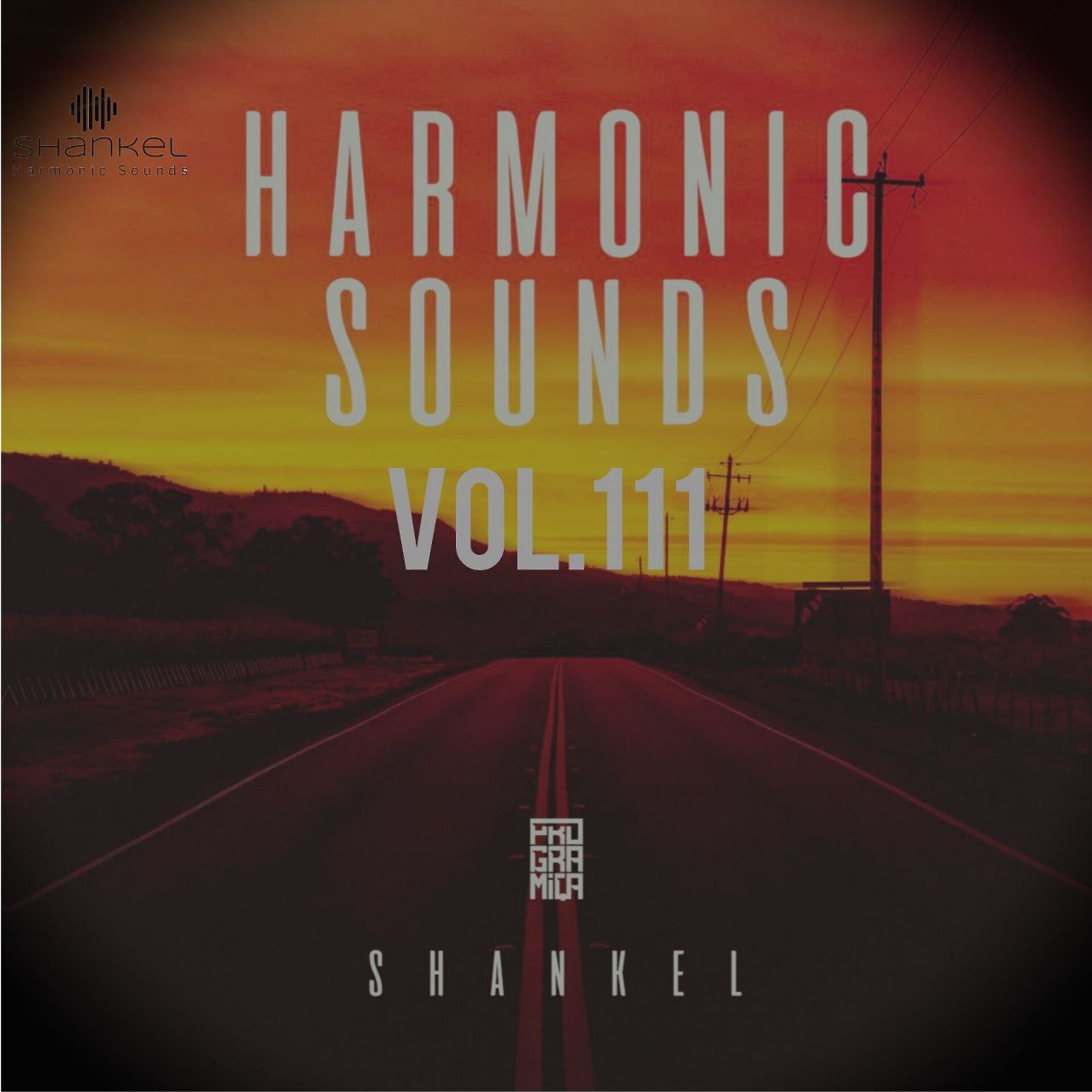 DJ.ru Микс: Shankel — Harmonic Sounds. Vol.111 episode artwork