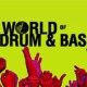 THE WORLD OF DRUM & BASS