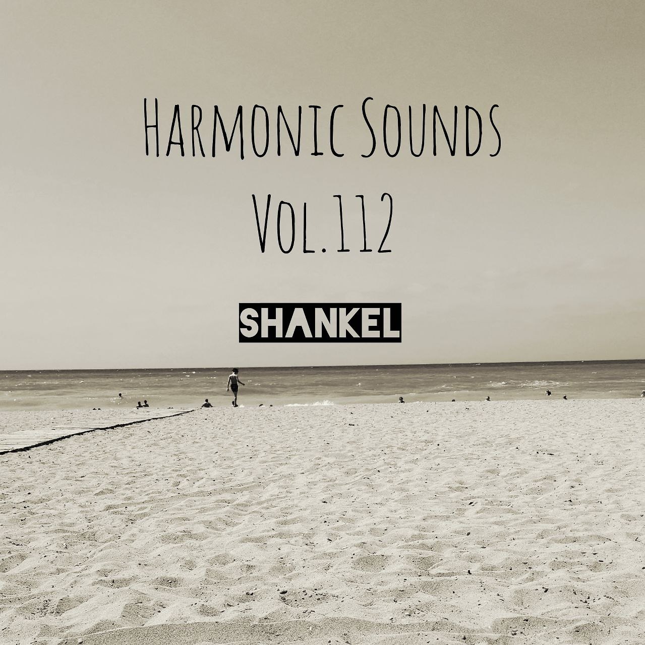 DJ.ru Микс: Shankel — Harmonic Sounds. Vol.112 episode artwork