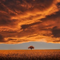 Deep & Progressive #131