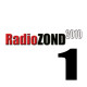 Roman Romanov - RadioZond2010 - 1 (recorded for the radio)