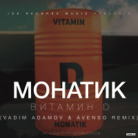 Монатик - Витамин D (Vadim Adamov & Avenso remix)